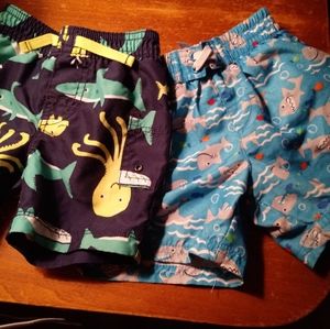 2 pair boys swim trunks